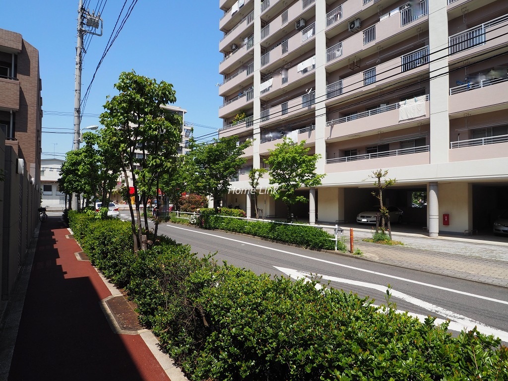 ステイツ西台フロンテージ　前面道路